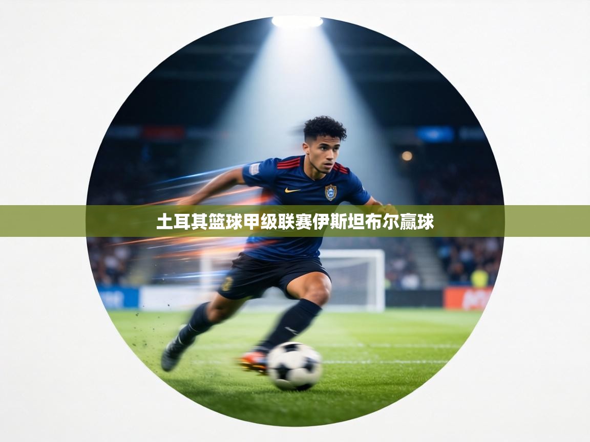 土耳其篮球甲级联赛伊斯坦布尔赢球  第2张